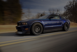 Pure Muscle