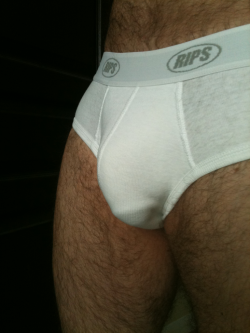 hairygooner:  Rips white briefs #bulge 