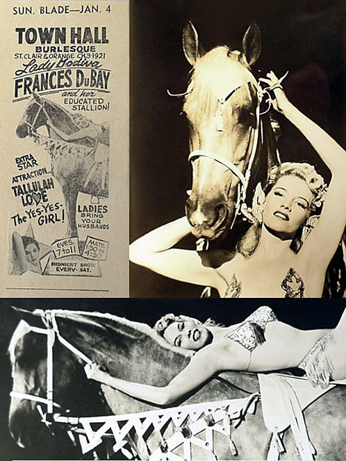  Frances DuBay & her Educated Stallion Photo compilation featuring a newspaper promo ad for her appearance at the ‘TOWN HALL Burlesque’; a theatre owned by infamous (by then, retired) showgirl: Rose La Rose.. LADIES Bring Your Husbands! 