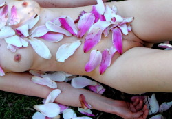 nudehotcutegirlsphotos:  Magnolia