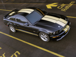 masterpiston:  2006 Shelby GT-H. 