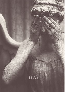 mccoysm:  Don’t blink.       