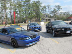 FuckYeahMustang