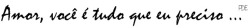 Sou feita de amor