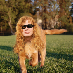  Parecidos razonables XD (Dave Mustaine, gran guitarrista y cantante