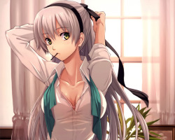 ibi-s:  bra cleavage dressing eiyuu densetsu elie macdowell enami