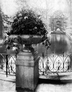 bellecs:  Jardin du Luxembourg, Paris. Photographed by Eugene