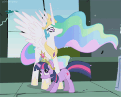 Fan MLP
