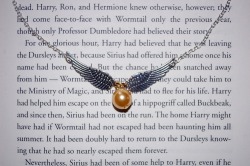 10knotes:   The Golden Snitch necklace is available at the Wicked