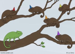mayuri12:  Chameleon Surprise Party