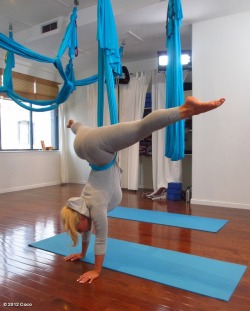 noosegoose:  Nicole Coco Austin - doing some aerial yoga 02/26/12