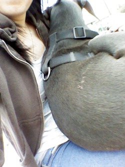 He’s getting to big to fit on my lap :(