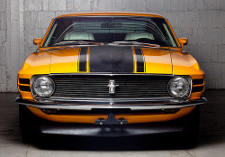 AutoMotivated.