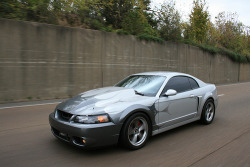 Pure Muscle