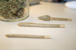 weedmygolden.tumblr.com/post/25477459390/