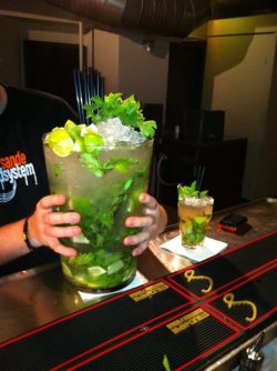 drunkswede:  iheartchaos:  Fuck yeah. This is a Leap Year mojito.