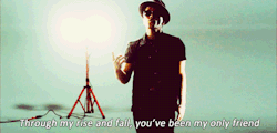 taylor