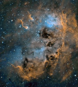 wavesoftware:  Emission Nebula in Auriga  Copyright: Nik Szymanek