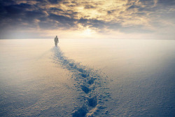 Sweet Escape