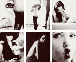 weloveangelina-blog:  ANGELINA JOLIE 15 days challengeDay 1 →