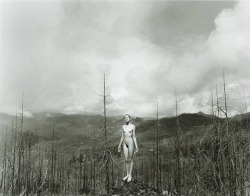 Misty Dawn, Northern California, Gelatin silver print, Jock Sturges,