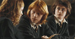  I love Harry in this. Screw that, i love them all Ron: #HEY