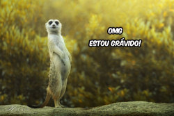 kkkkkkkkkkkkkkkkkkkkkkkkkkkkkkkkkkkkkkkk