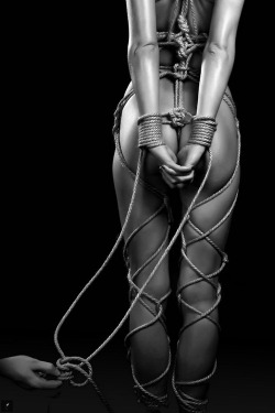 erotic-rope-work:  Follows the lines of her body perfectly. 