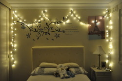 inspiring-pictures:  (via Christmas Lights in The Bedroom »