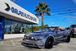 FuckYeahMustang