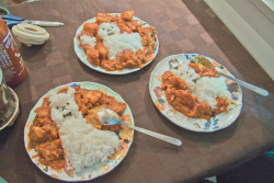 datdonk:  jackle-app:  mothbunny:  merrisch:  our alpaca curry.