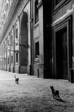 missfolly:  Leonard Freed: Naples, Italy, 1958   Spotkanie. 