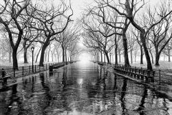wonderfulambiguity:  John Rosenthal, Central Park, New York,