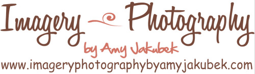 <p>Spread the word about Imagery Photography to your family & friends!</p>