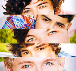 fast-impeccable-life:  Harry, Louis, and Niall’s eyes are just