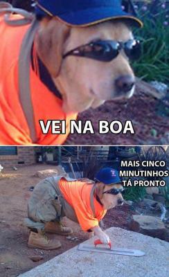 Ela tá que tá ✌