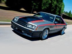 FuckYeahMustang