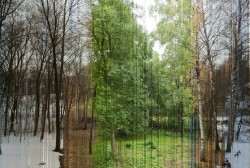 stop-hodoring:A picture in 365 slices. Each slice is one day