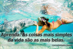 igualizei