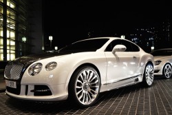 johnny-escobar:  Mansory Bentley CGT 