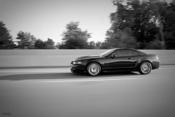 Pure Muscle