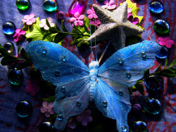 thegardennymph:  FREE GIVEAWAY!  INCLUDES: Large sparkly butterfly