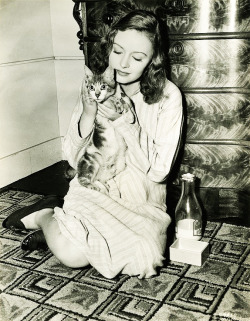 sharontates:  Donna Reed holds a cute Kitty, C.1940’s 