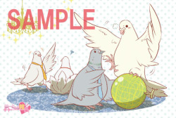 ahtn:  Postcards that come with the Hatoful Boyfriend Drama CD.