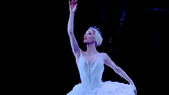 Marianela Nuñez, the Swan Queen. How I would love to be perfect