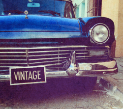 “Vintage or die.