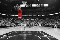 Drose Forever