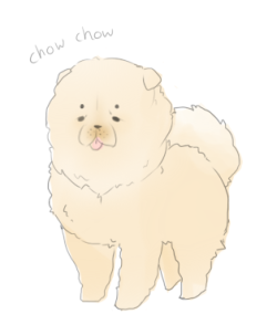 tofublock: (ﾉ◕ヮ◕)ﾉ Chow chow dogs are so fluffy! I