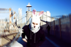 Bridge Bunny Jack Rabbit - New York City 2012 AlexanderGuerra.com