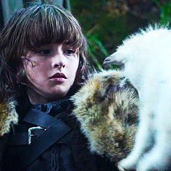 ☼ Bran Stark & Summer↪Game Of Thrones - S01E01 - ”Winter